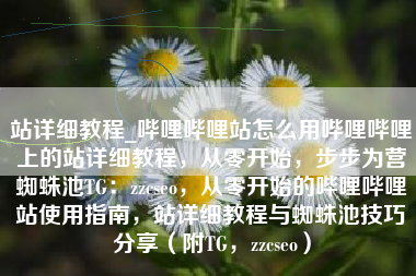 站详细教程_哔哩哔哩站怎么用哔哩哔哩上的站详细教程，从零开始，步步为营蜘蛛池TG：zzcseo，从零开始的哔哩哔哩站使用指南，站详细教程与蜘蛛池技巧分享（附TG，zzcseo）