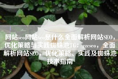 网站seo网站seo是什么全面解析网站SEO，优化策略与实践蜘蛛池TG：zzcseo，全面解析网站SEO，优化策略、实践及蜘蛛池技术指南