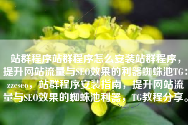 站群程序站群程序怎么安装站群程序，提升网站流量与SEO效果的利器蜘蛛池TG：zzcseo，站群程序安装指南，提升网站流量与SEO效果的蜘蛛池利器，TG教程分享。