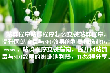 站群程序站群程序怎么安装站群程序，提升网站流量与SEO效果的利器蜘蛛池TG：zzcseo，站群程序安装指南，提升网站流量与SEO效果的蜘蛛池利器，TG教程分享。