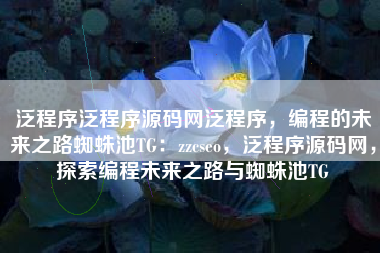 泛程序泛程序源码网泛程序，编程的未来之路蜘蛛池TG：zzcseo，泛程序源码网，探索编程未来之路与蜘蛛池TG