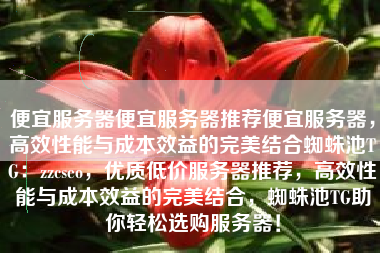 便宜服务器便宜服务器推荐便宜服务器，高效性能与成本效益的完美结合蜘蛛池TG：zzcseo，优质低价服务器推荐，高效性能与成本效益的完美结合，蜘蛛池TG助你轻松选购服务器！