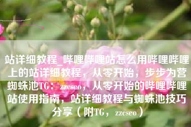 站详细教程_哔哩哔哩站怎么用哔哩哔哩上的站详细教程，从零开始，步步为营蜘蛛池TG：zzcseo，从零开始的哔哩哔哩站使用指南，站详细教程与蜘蛛池技巧分享（附TG，zzcseo）