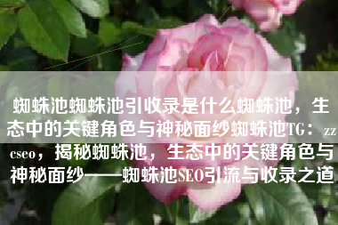 蜘蛛池蜘蛛池引收录是什么蜘蛛池，生态中的关键角色与神秘面纱蜘蛛池TG：zzcseo，揭秘蜘蛛池，生态中的关键角色与神秘面纱——蜘蛛池SEO引流与收录之道