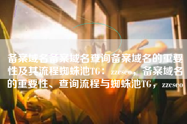 备案域名备案域名查询备案域名的重要性及其流程蜘蛛池TG：zzcseo，备案域名的重要性、查询流程与蜘蛛池TG，zzcseo