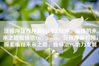 泛程序泛程序源码网泛程序，编程的未来之路蜘蛛池TG：zzcseo，泛程序源码网，探索编程未来之路，蜘蛛池TG助力发展