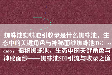 蜘蛛池蜘蛛池引收录是什么蜘蛛池，生态中的关键角色与神秘面纱蜘蛛池TG：zzcseo，揭秘蜘蛛池，生态中的关键角色与神秘面纱——蜘蛛池SEO引流与收录之道