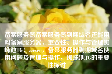 备案服务器备案服务器到期域名还能用吗备案服务器，重要性、操作与管理蜘蛛池TG：zzcseo，备案服务器到期域名使用问题及管理与操作，蜘蛛池TG的重要性探讨