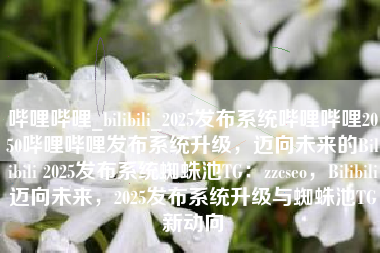 哔哩哔哩_bilibili_2025发布系统哔哩哔哩2050哔哩哔哩发布系统升级，迈向未来的Bilibili 2025发布系统蜘蛛池TG：zzcseo，Bilibili迈向未来，2025发布系统升级与蜘蛛池TG新动向