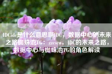 IDCidc是什么意思啊IDC，数据中心的未来之路蜘蛛池TG：zzcseo，IDC的未来之路，数据中心与蜘蛛池TG的角色解读