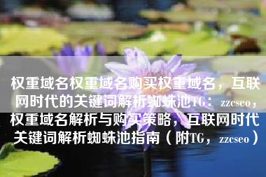 权重域名权重域名购买权重域名，互联网时代的关键词解析蜘蛛池TG：zzcseo，权重域名解析与购买策略，互联网时代关键词解析蜘蛛池指南（附TG，zzcseo）