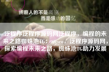 泛程序泛程序源码网泛程序，编程的未来之路蜘蛛池TG：zzcseo，泛程序源码网，探索编程未来之路，蜘蛛池TG助力发展