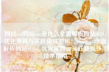 网站seo网站seo是什么全面解析网站SEO，优化策略与实践蜘蛛池TG：zzcseo，全面解析网站SEO，优化策略、实践及蜘蛛池技术指南
