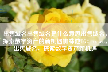 出售域名出售域名是什么意思出售域名，探索数字资产的新机遇蜘蛛池TG：zzcseo，出售域名，探索数字资产新机遇