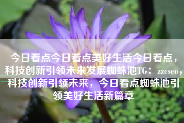 今日看点今日看点美好生活今日看点，科技创新引领未来发展蜘蛛池TG：zzcseo，科技创新引领未来，今日看点蜘蛛池引领美好生活新篇章