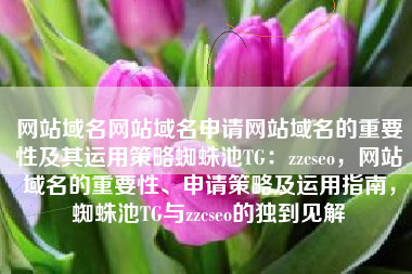 网站域名网站域名申请网站域名的重要性及其运用策略蜘蛛池TG：zzcseo，网站域名的重要性、申请策略及运用指南，蜘蛛池TG与zzcseo的独到见解
