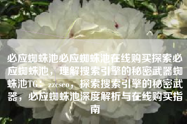 必应蜘蛛池必应蜘蛛池在线购买探索必应蜘蛛池，理解搜索引擎的秘密武器蜘蛛池TG：zzcseo，探索搜索引擎的秘密武器，必应蜘蛛池深度解析与在线购买指南