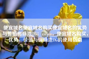 便宜域名便宜域名购买便宜域名的优势与价值蜘蛛池TG：zzcseo，便宜域名购买，优势、价值与蜘蛛池TG的使用指南