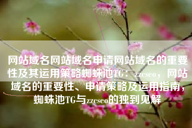 网站域名网站域名申请网站域名的重要性及其运用策略蜘蛛池TG：zzcseo，网站域名的重要性、申请策略及运用指南，蜘蛛池TG与zzcseo的独到见解