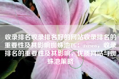 收录排名收录排名好的网站收录排名的重要性及其影响蜘蛛池TG：zzcseo，收录排名的重要性及其影响，优质网站与蜘蛛池策略