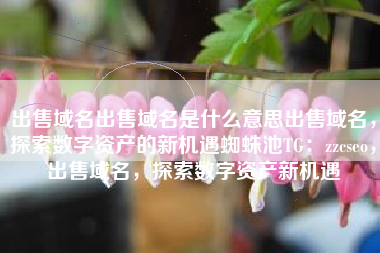 出售域名出售域名是什么意思出售域名，探索数字资产的新机遇蜘蛛池TG：zzcseo，出售域名，探索数字资产新机遇