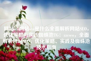 网站seo网站seo是什么全面解析网站SEO，优化策略与实践蜘蛛池TG：zzcseo，全面解析网站SEO，优化策略、实践及蜘蛛池技术指南