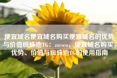 便宜域名便宜域名购买便宜域名的优势与价值蜘蛛池TG：zzcseo，便宜域名购买，优势、价值与蜘蛛池TG的使用指南
