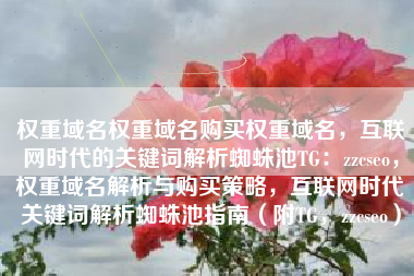 权重域名权重域名购买权重域名，互联网时代的关键词解析蜘蛛池TG：zzcseo，权重域名解析与购买策略，互联网时代关键词解析蜘蛛池指南（附TG，zzcseo）