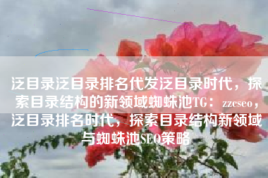泛目录泛目录排名代发泛目录时代，探索目录结构的新领域蜘蛛池TG：zzcseo，泛目录排名时代，探索目录结构新领域与蜘蛛池SEO策略