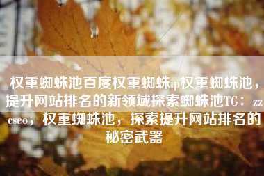 权重蜘蛛池百度权重蜘蛛ip权重蜘蛛池，提升网站排名的新领域探索蜘蛛池TG：zzcseo，权重蜘蛛池，探索提升网站排名的秘密武器