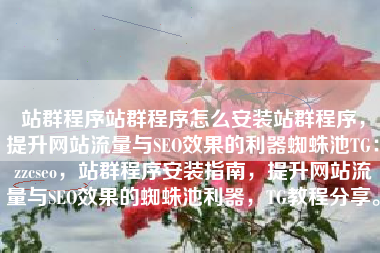 站群程序站群程序怎么安装站群程序，提升网站流量与SEO效果的利器蜘蛛池TG：zzcseo，站群程序安装指南，提升网站流量与SEO效果的蜘蛛池利器，TG教程分享。