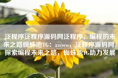 泛程序泛程序源码网泛程序，编程的未来之路蜘蛛池TG：zzcseo，泛程序源码网，探索编程未来之路，蜘蛛池TG助力发展