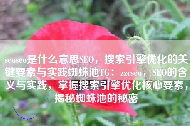 seoseo是什么意思SEO，搜索引擎优化的关键要素与实践蜘蛛池TG：zzcseo，SEO的含义与实践，掌握搜索引擎优化核心要素，揭秘蜘蛛池的秘密