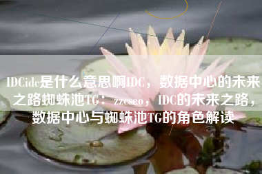 IDCidc是什么意思啊IDC，数据中心的未来之路蜘蛛池TG：zzcseo，IDC的未来之路，数据中心与蜘蛛池TG的角色解读