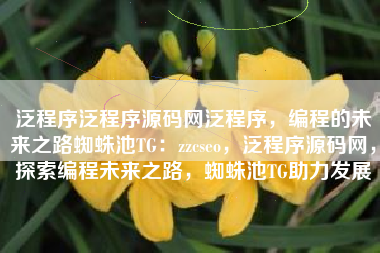 泛程序泛程序源码网泛程序，编程的未来之路蜘蛛池TG：zzcseo，泛程序源码网，探索编程未来之路，蜘蛛池TG助力发展