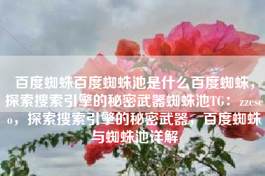 百度蜘蛛百度蜘蛛池是什么百度蜘蛛，探索搜索引擎的秘密武器蜘蛛池TG：zzcseo，探索搜索引擎的秘密武器，百度蜘蛛与蜘蛛池详解