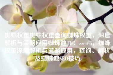 蜘蛛权重蜘蛛权重查询蜘蛛权重，深度解析与策略应用蜘蛛池TG：zzcseo，蜘蛛权重深度解析与策略应用，查询、解析及蜘蛛池SEO技巧