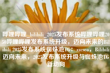 哔哩哔哩_bilibili_2025发布系统哔哩哔哩2050哔哩哔哩发布系统升级，迈向未来的Bilibili 2025发布系统蜘蛛池TG：zzcseo，Bilibili迈向未来，2025发布系统升级与蜘蛛池TG新动向
