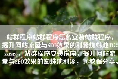 站群程序站群程序怎么安装站群程序，提升网站流量与SEO效果的利器蜘蛛池TG：zzcseo，站群程序安装指南，提升网站流量与SEO效果的蜘蛛池利器，TG教程分享。