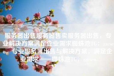 服务器出售服务器售卖服务器出售，专业解决方案满足企业需求蜘蛛池TG：zzcseo，专业服务器出售与解决方案，满足企业需求——蜘蛛池TG，zzcseo