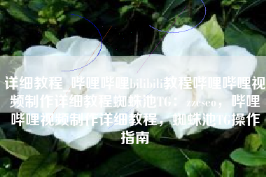 详细教程_哔哩哔哩bilibili教程哔哩哔哩视频制作详细教程蜘蛛池TG：zzcseo，哔哩哔哩视频制作详细教程，蜘蛛池TG操作指南