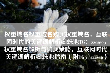权重域名权重域名购买权重域名，互联网时代的关键词解析蜘蛛池TG：zzcseo，权重域名解析与购买策略，互联网时代关键词解析蜘蛛池指南（附TG，zzcseo）