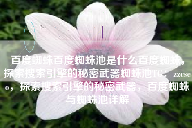 百度蜘蛛百度蜘蛛池是什么百度蜘蛛，探索搜索引擎的秘密武器蜘蛛池TG：zzcseo，探索搜索引擎的秘密武器，百度蜘蛛与蜘蛛池详解
