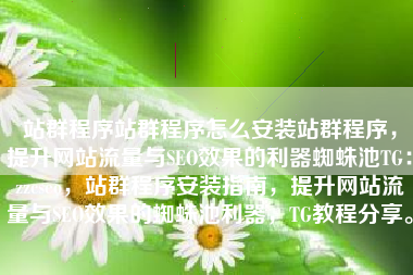 站群程序站群程序怎么安装站群程序，提升网站流量与SEO效果的利器蜘蛛池TG：zzcseo，站群程序安装指南，提升网站流量与SEO效果的蜘蛛池利器，TG教程分享。
