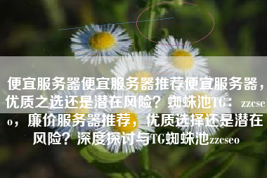 便宜服务器便宜服务器推荐便宜服务器，优质之选还是潜在风险？蜘蛛池TG：zzcseo，廉价服务器推荐，优质选择还是潜在风险？深度探讨与TG蜘蛛池zzcseo