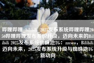 哔哩哔哩_bilibili_2025发布系统哔哩哔哩2050哔哩哔哩发布系统升级，迈向未来的Bilibili 2025发布系统蜘蛛池TG：zzcseo，Bilibili迈向未来，2025发布系统升级与蜘蛛池TG新动向