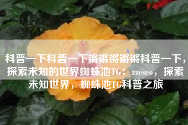 科普一下科普一下锵锵锵锵锵科普一下，探索未知的世界蜘蛛池TG：zzcseo，探索未知世界，蜘蛛池TG科普之旅