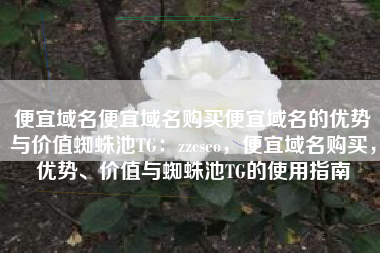 便宜域名便宜域名购买便宜域名的优势与价值蜘蛛池TG：zzcseo，便宜域名购买，优势、价值与蜘蛛池TG的使用指南