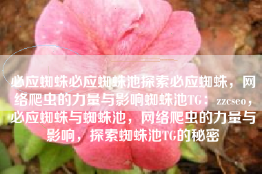 必应蜘蛛必应蜘蛛池探索必应蜘蛛，网络爬虫的力量与影响蜘蛛池TG：zzcseo，必应蜘蛛与蜘蛛池，网络爬虫的力量与影响，探索蜘蛛池TG的秘密