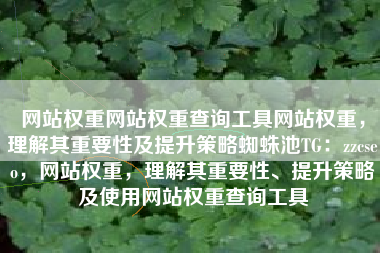 网站权重网站权重查询工具网站权重，理解其重要性及提升策略蜘蛛池TG：zzcseo，网站权重，理解其重要性、提升策略及使用网站权重查询工具